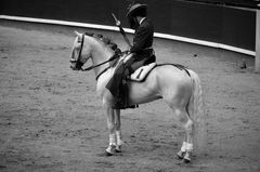 Tarde de Toros 1