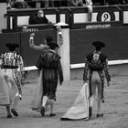 Tarde de Toros