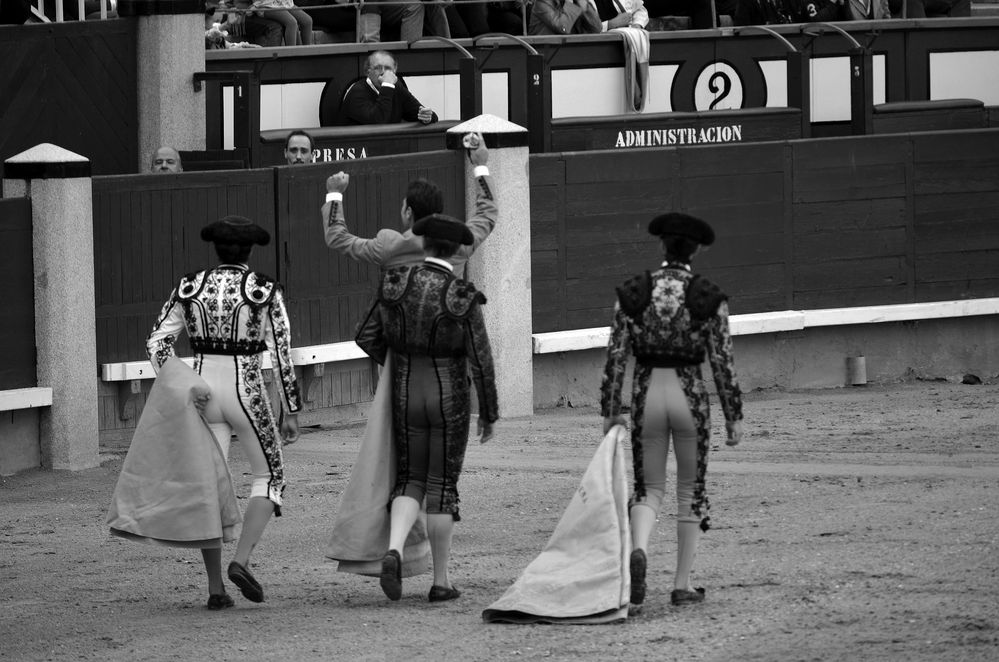 Tarde de Toros