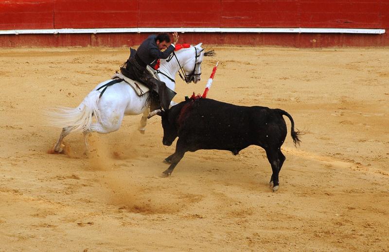 Tarde de Toros ,Rejoneo