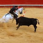 Tarde de Toros ,Rejoneo