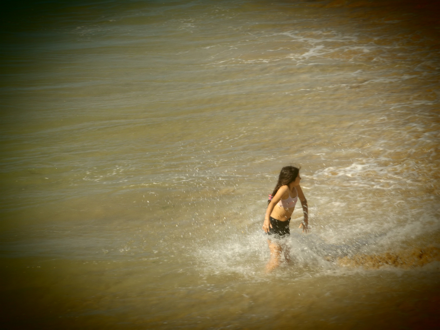 Tarde de verano 2024