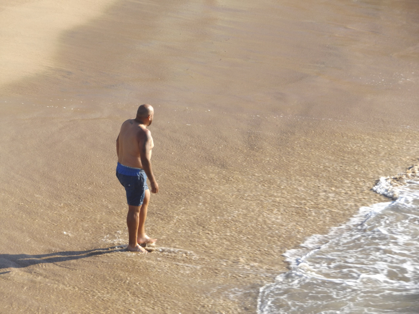 Tarde de verano 2024