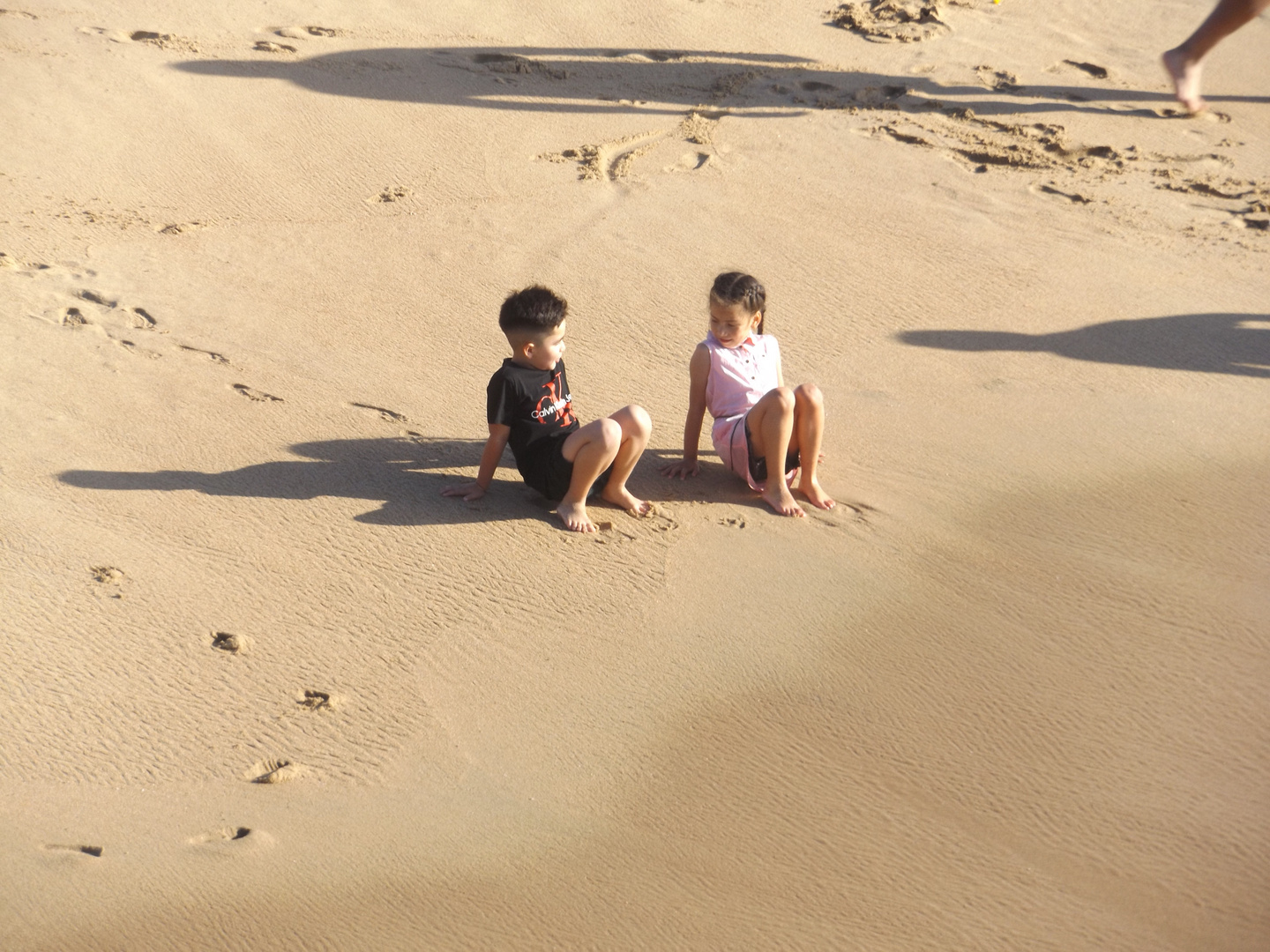 Tarde de verano 2024