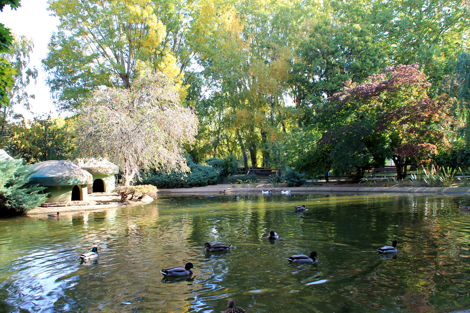 tarde en el lago