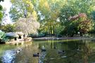 tarde en el lago de Beatriz3 