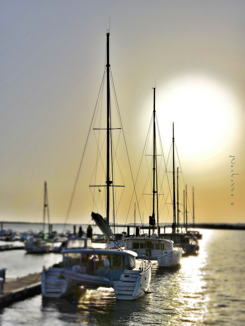 tarde en el Rompido (hdr)