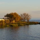 Tarde en la Costanera