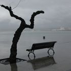 Tarde lluviosa en Paseo de Pereda/Santander