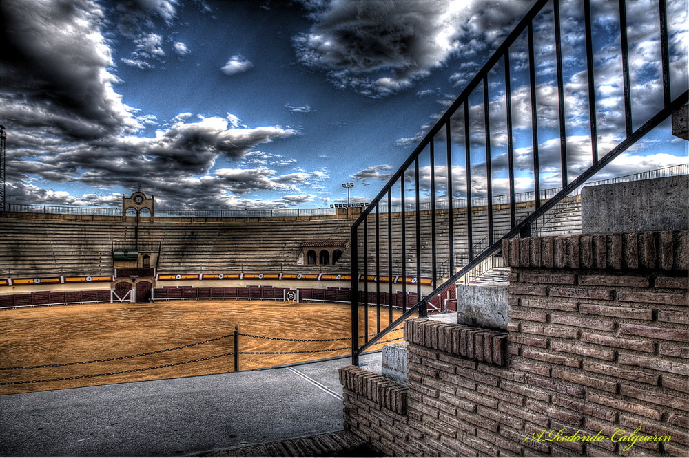 TARDE SIN TOROS