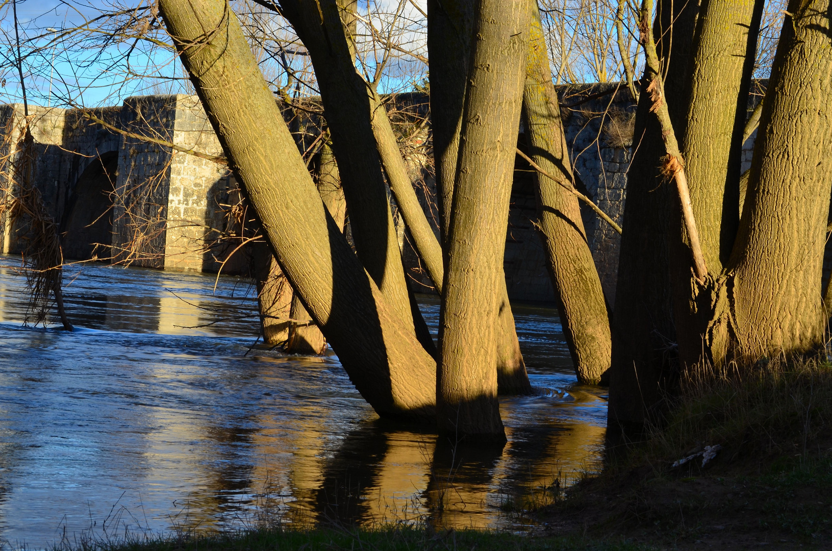 tarde soleada de invierno