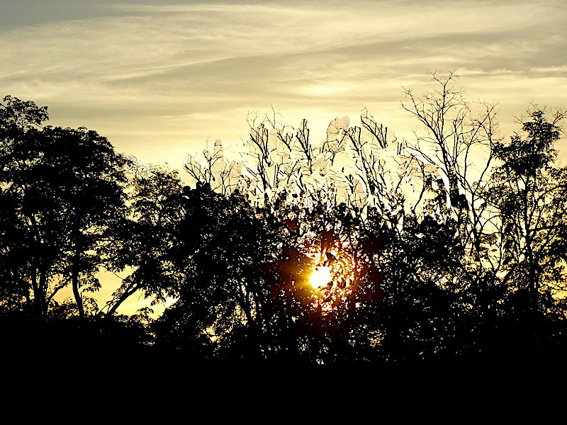 Tardes de Otoño