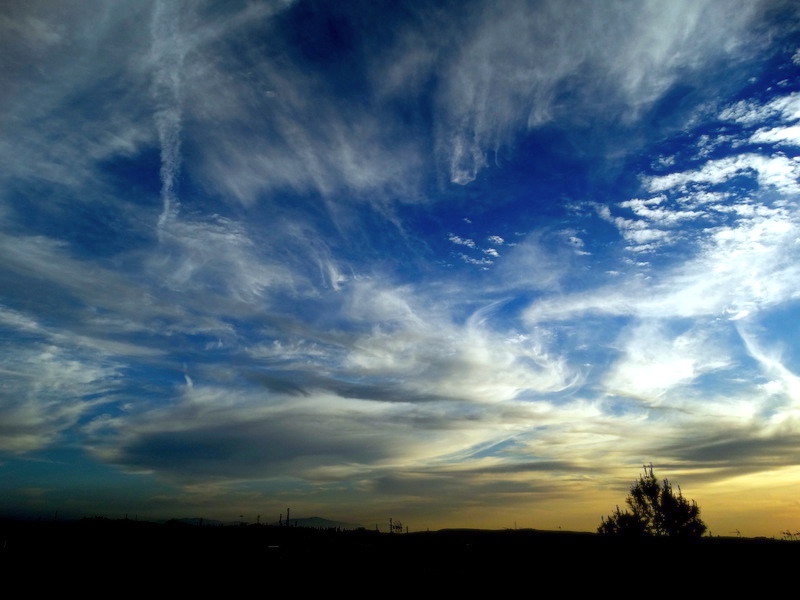 TARDES EN AZUL