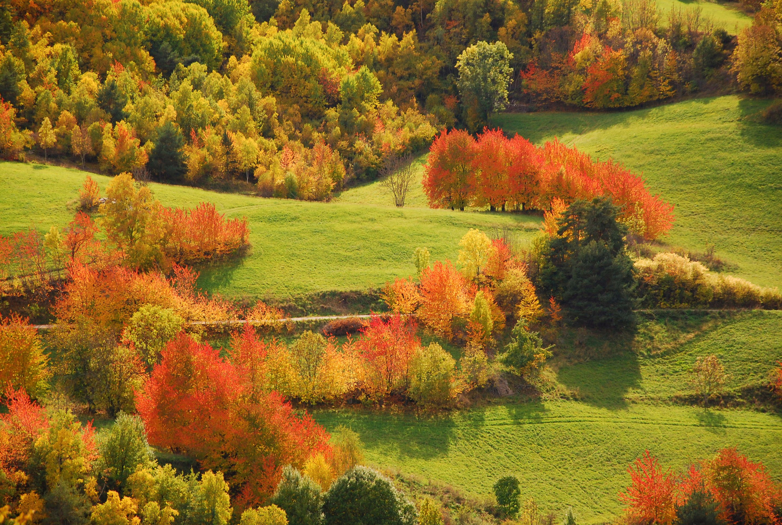 TARDOR AL PIRINEU. OTOÑO EN EL PIRINEO. AUTUMN AT THE PYRENEES