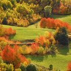 TARDOR AL PIRINEU. OTOÑO EN EL PIRINEO. AUTUMN AT THE PYRENEES