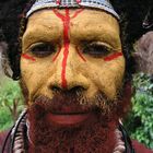 Tari People Papua Neuguinea