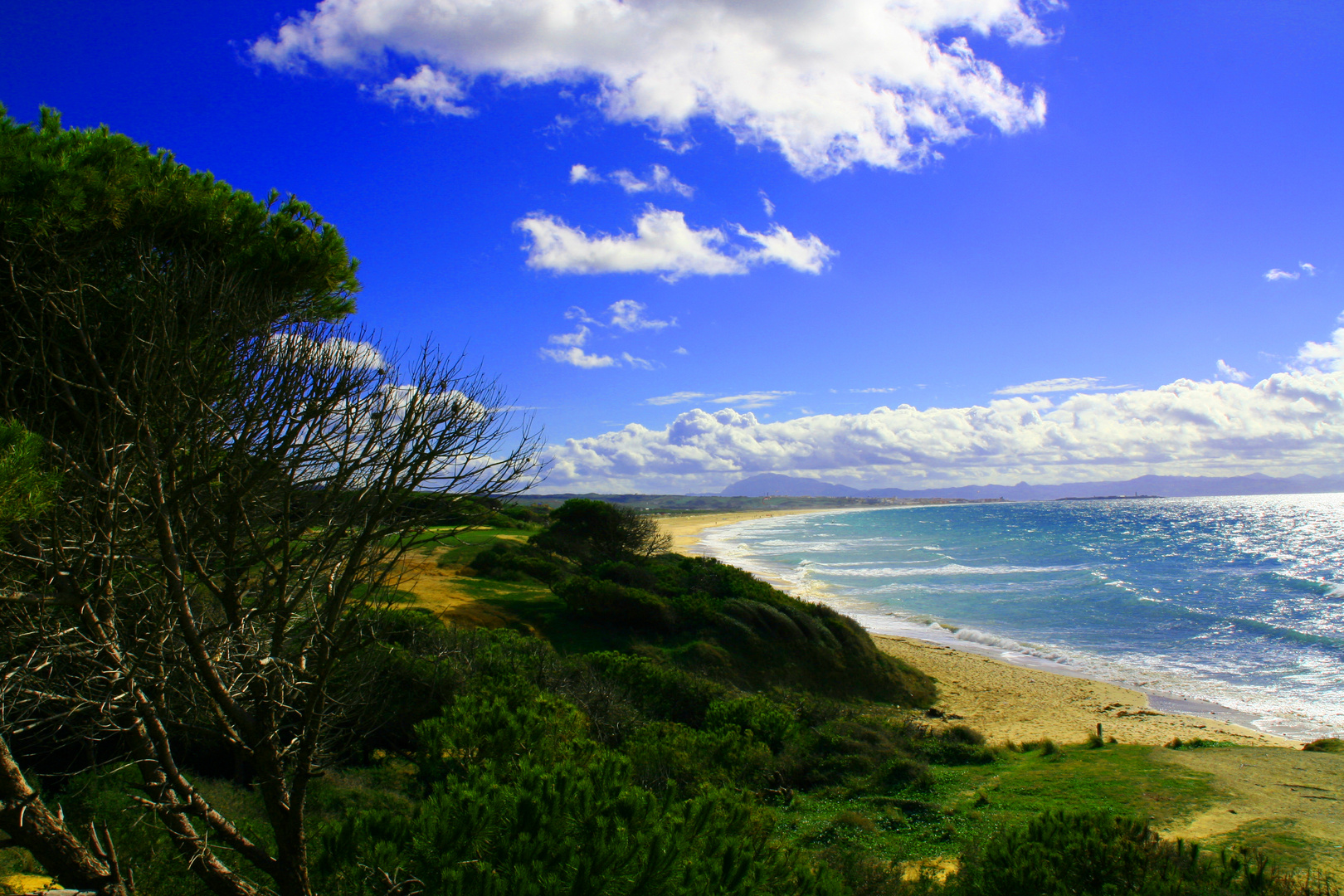 Tarifa