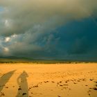 Tarifa