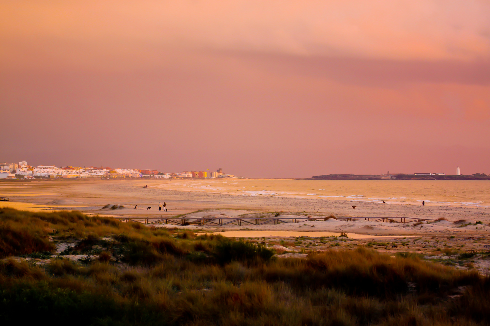 Tarifa