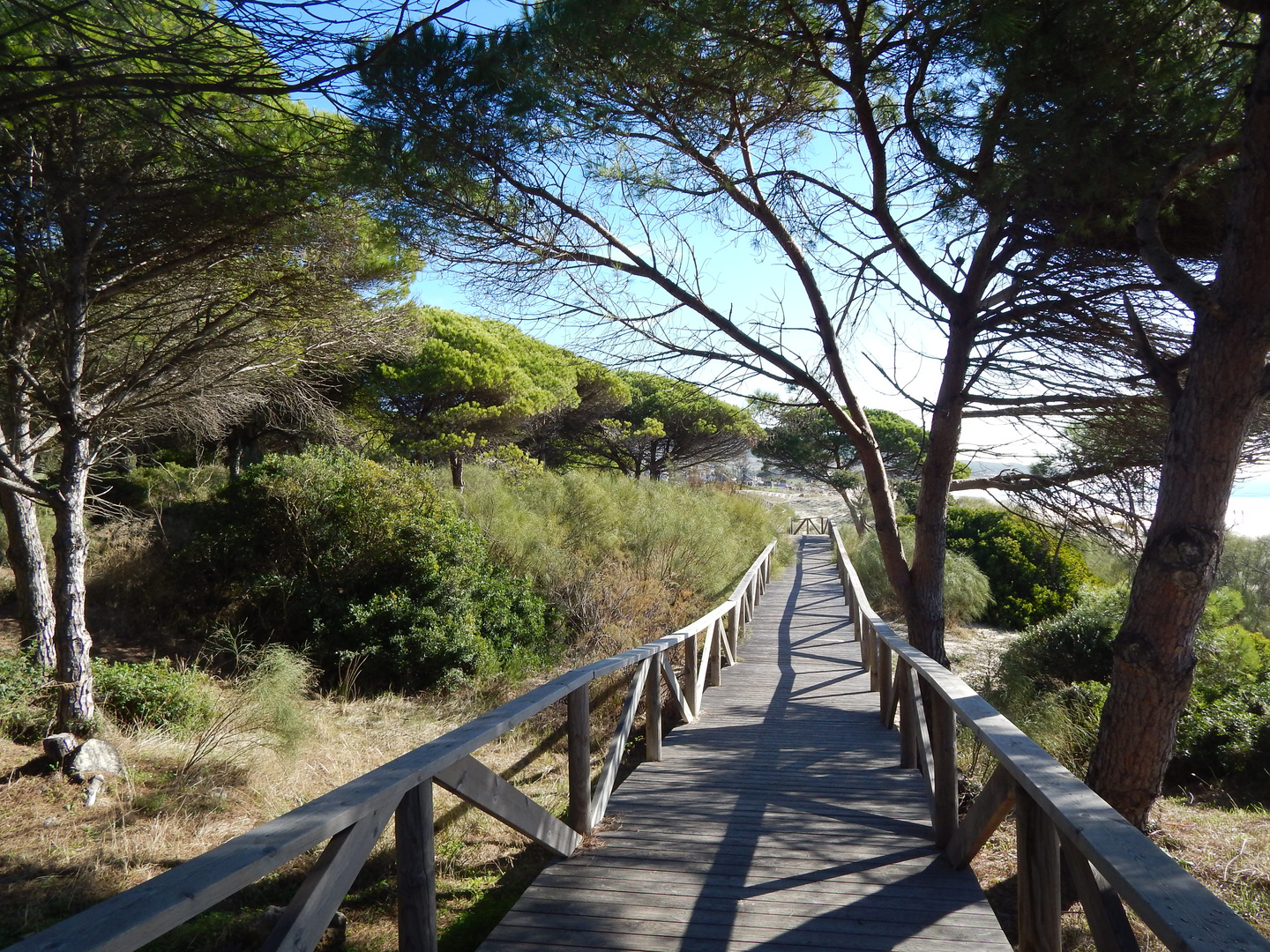 Tarifa