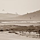 Tarifa - Beach