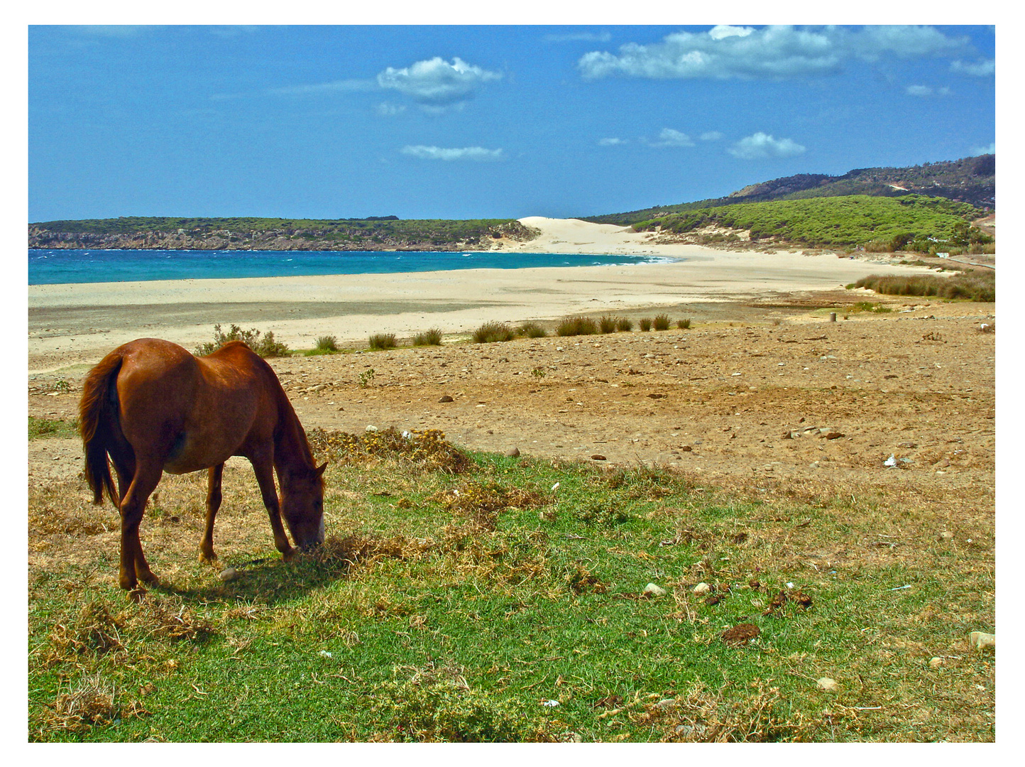 Tarifa