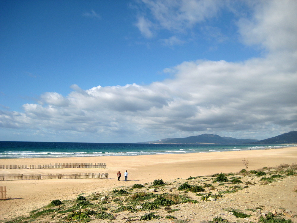 Tarifa