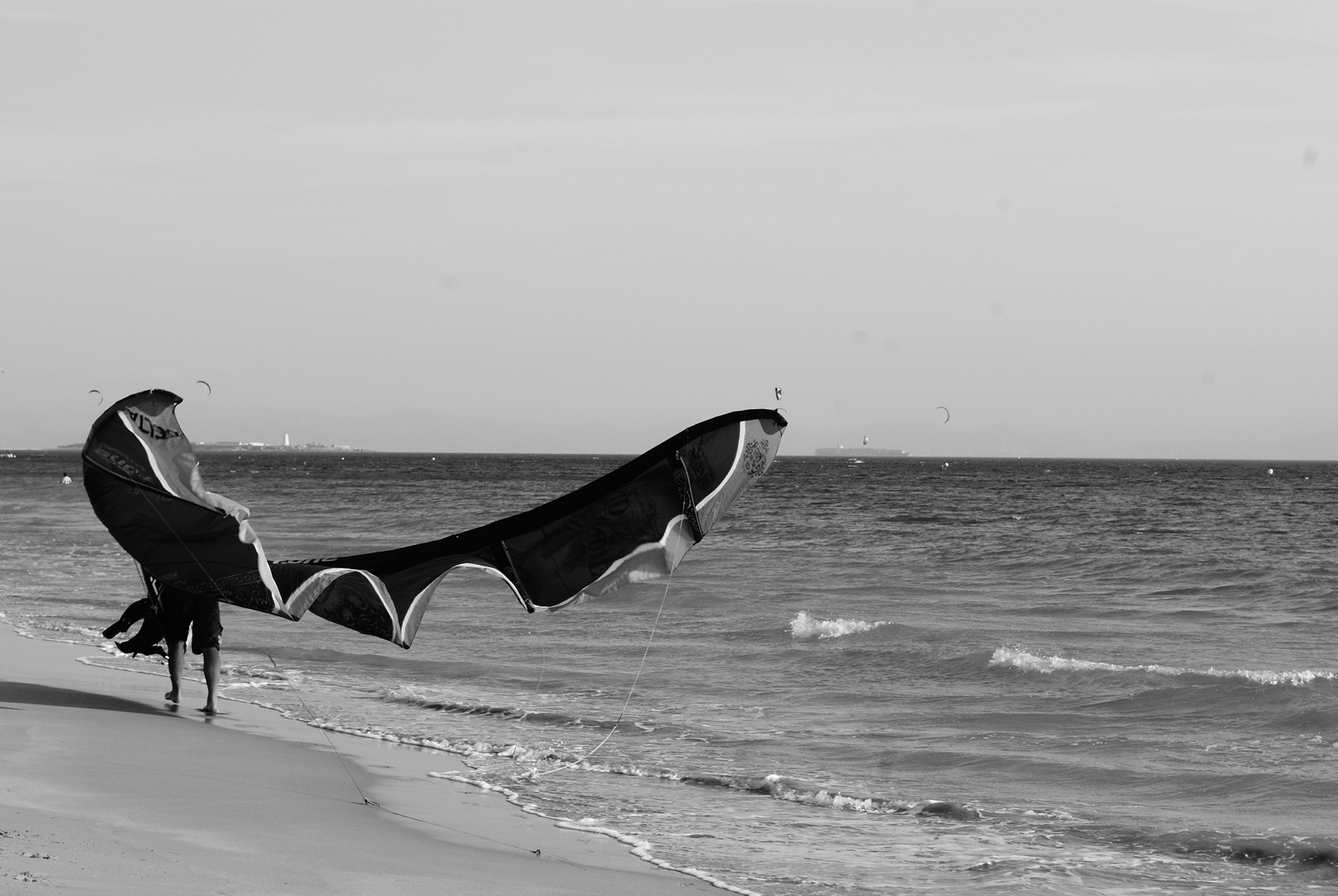 tarifa