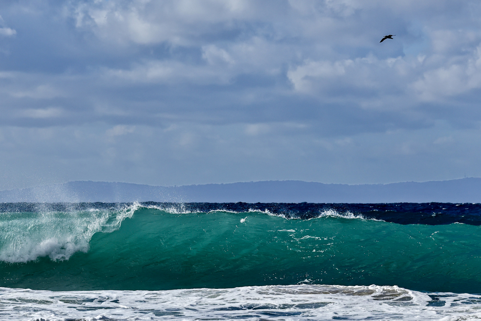 Tarifa Wave