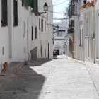 Tarifas Katzen - rotblonde Katze im Schatten