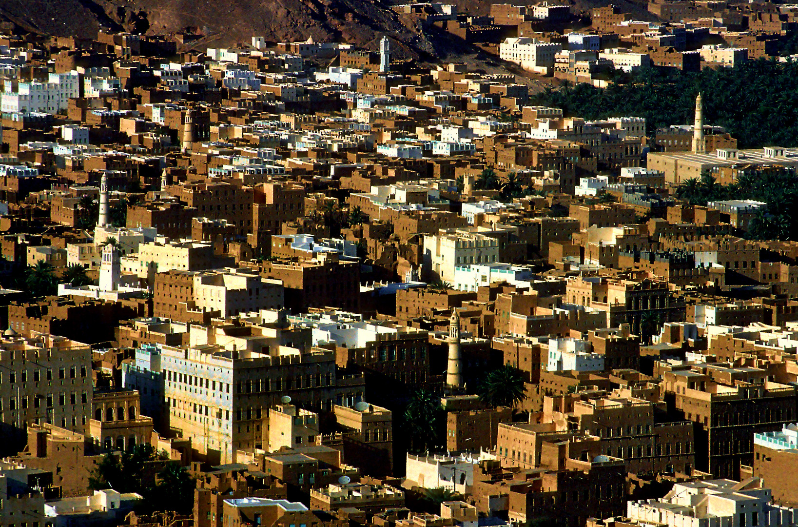 Tarim ist die heilige Stadt des Hadramaut