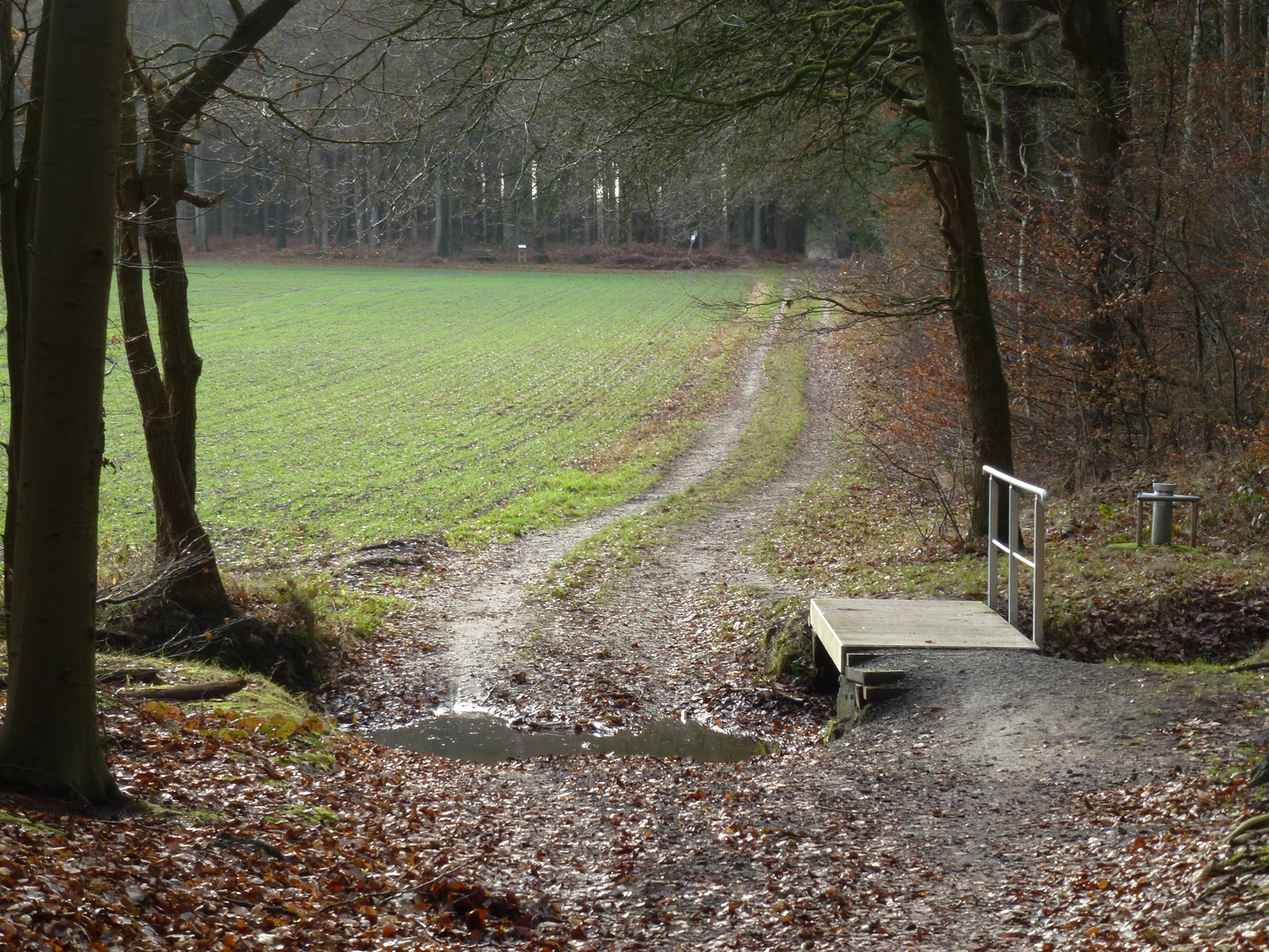 Tarmstedt Reithbach Brücke neu