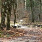 Tarmstedt Wald Spaziergang Reithbach