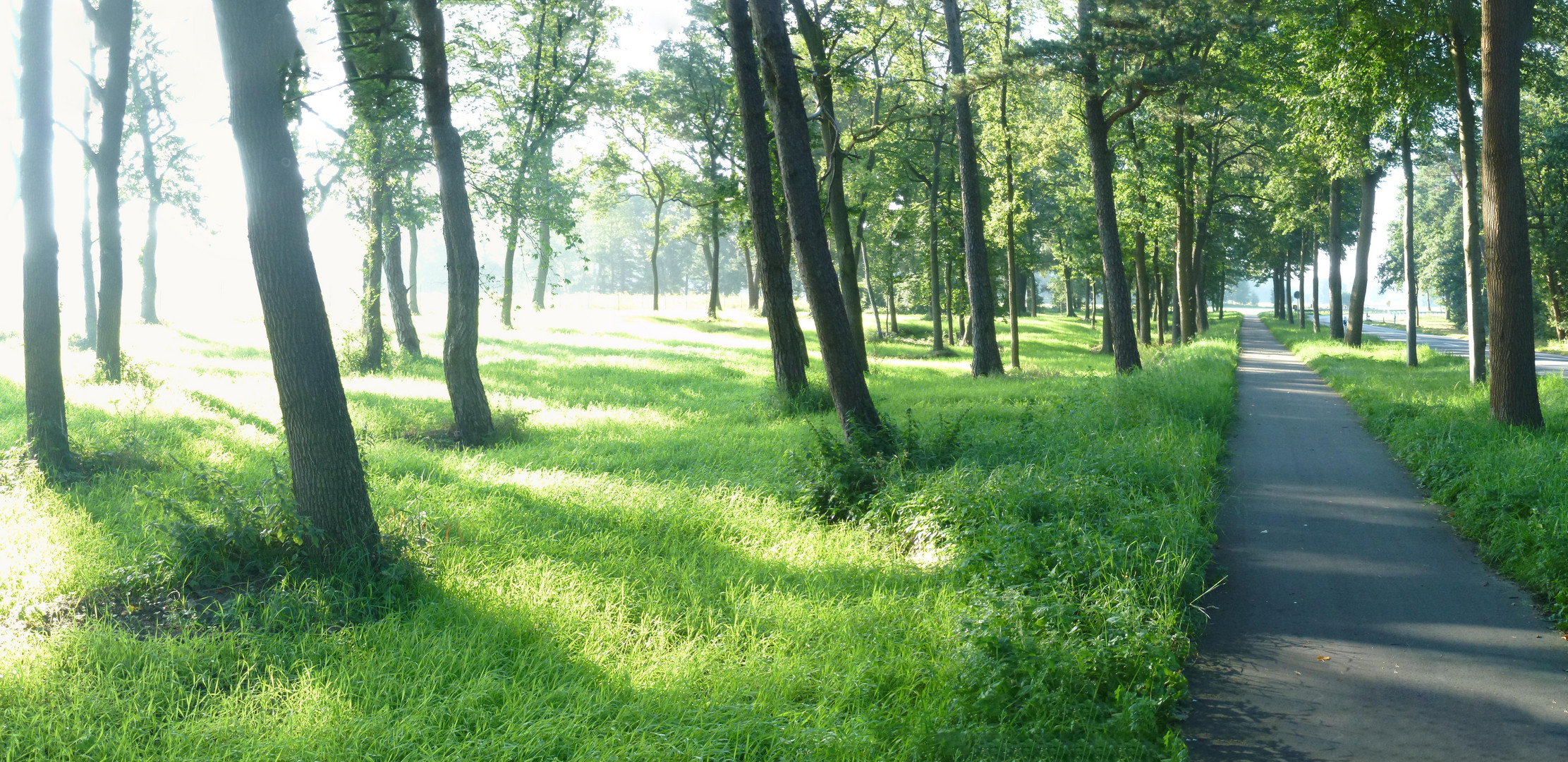 Tarmstedt Zigeunerwald Ende August 2017_stitch