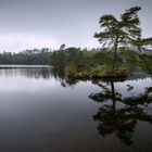 Tarn Hows, Ambleside, Vereinigtes Königreich