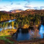 Tarn Hows 