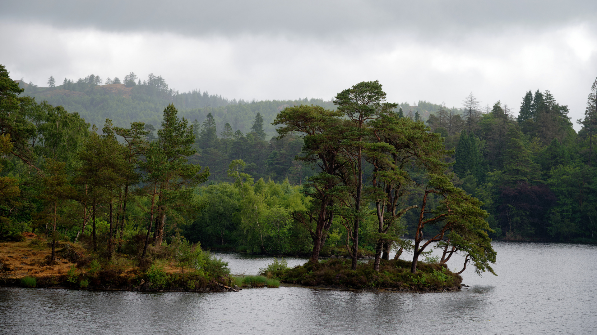 Tarn Hows * Paint by Numbers 'Pine Trees'