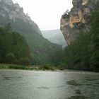 Tarn-Schlucht, XIX.