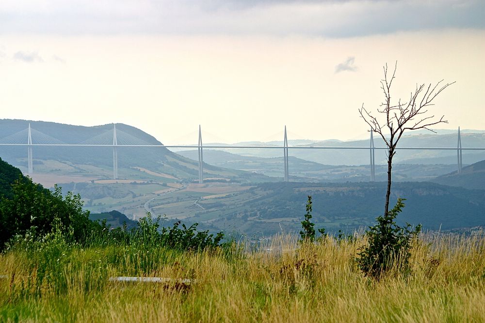 Tarnbrücke bei Millau