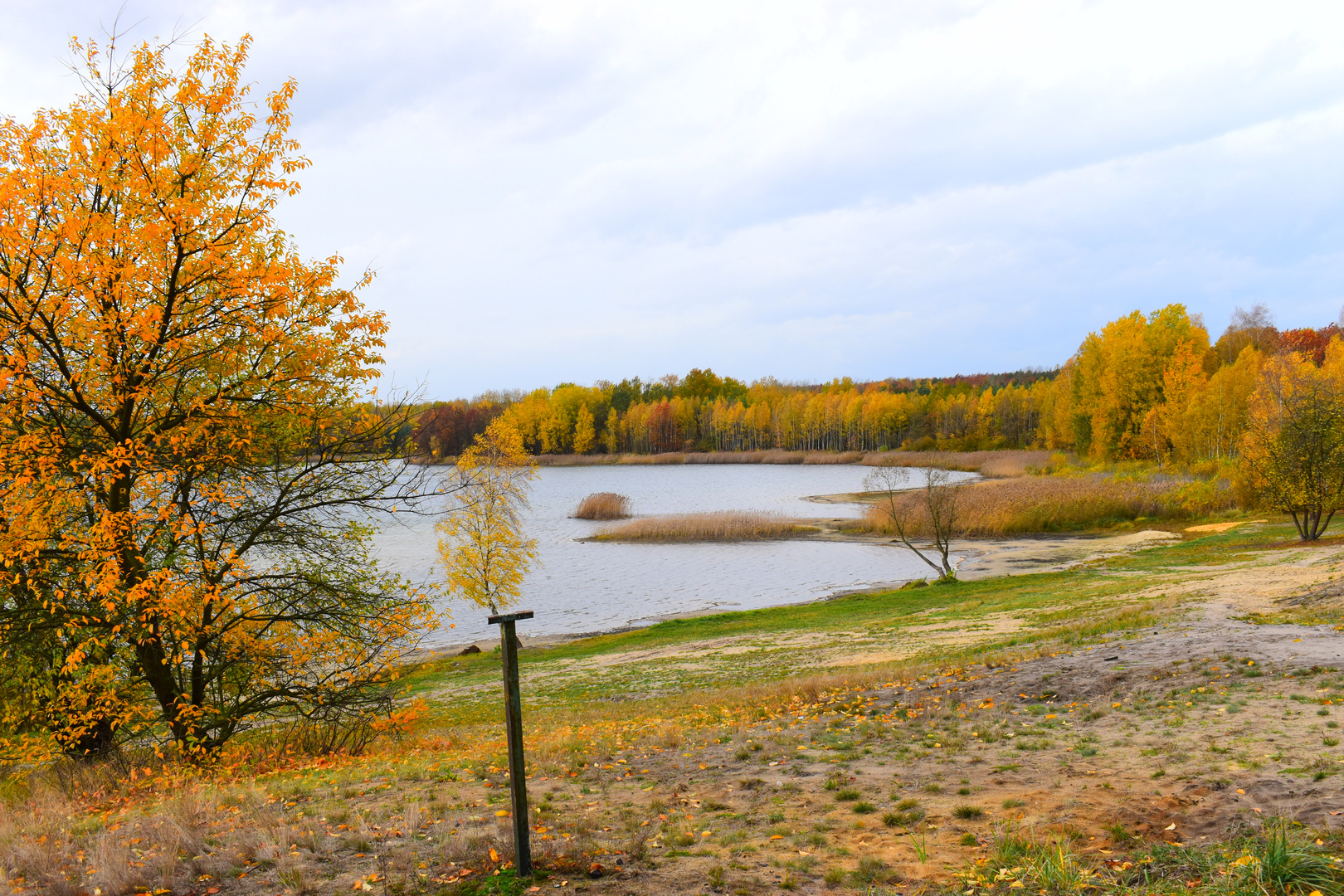 Tarnowitz Foto & Bild europe, poland, poland & czech republic Bilder