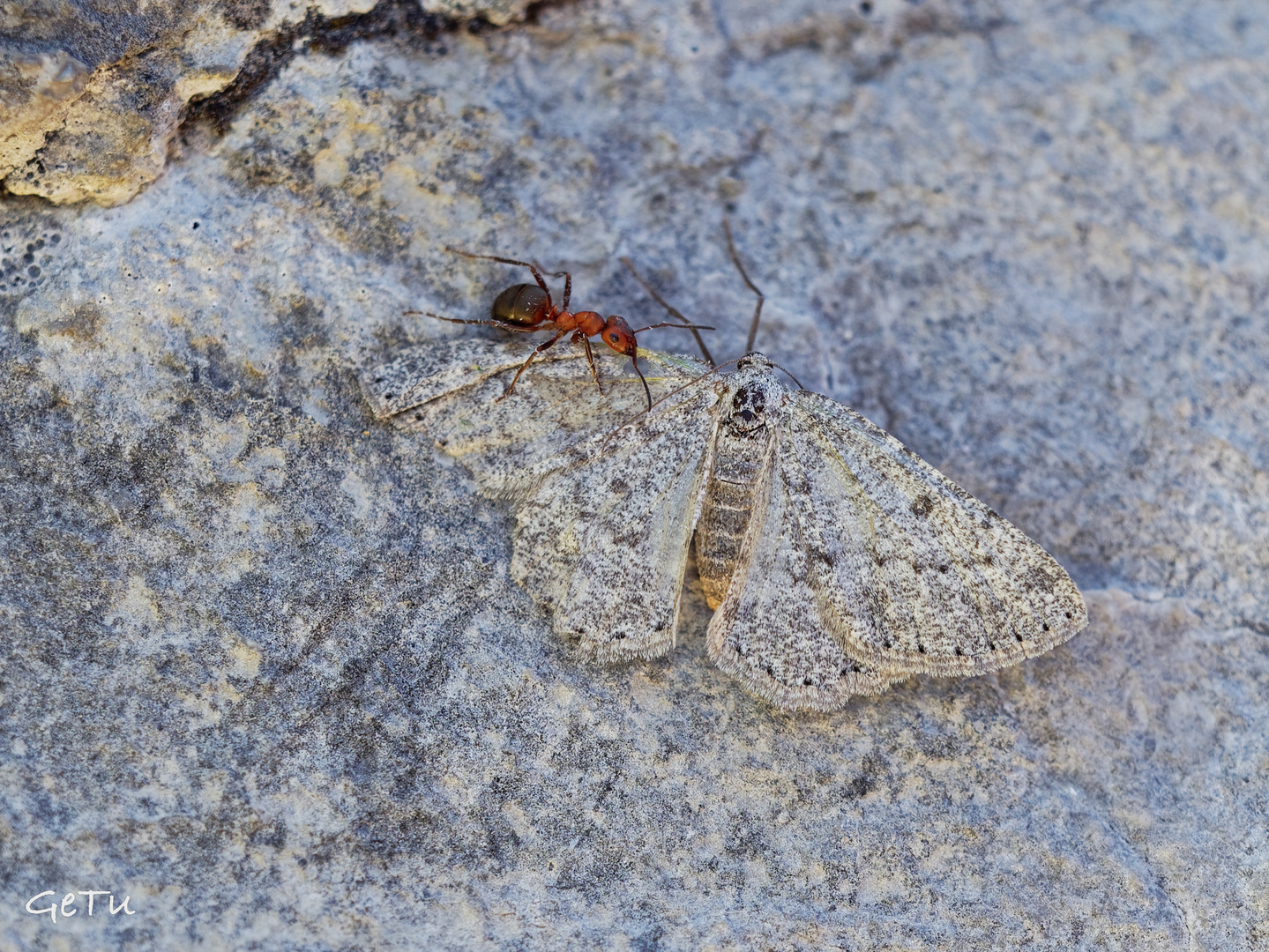 Tarnung Foto & Bild deutschland, europe, bayern Bilder auf