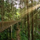 Taroko NP