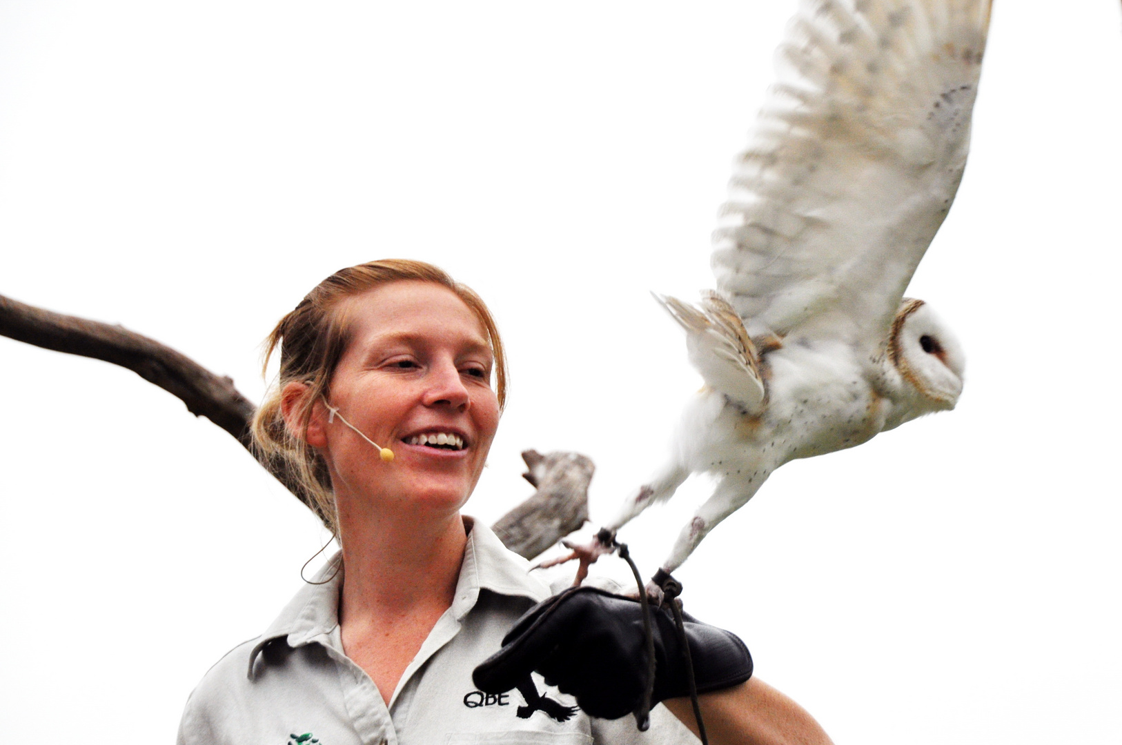 Taronga Zoo, Sydney