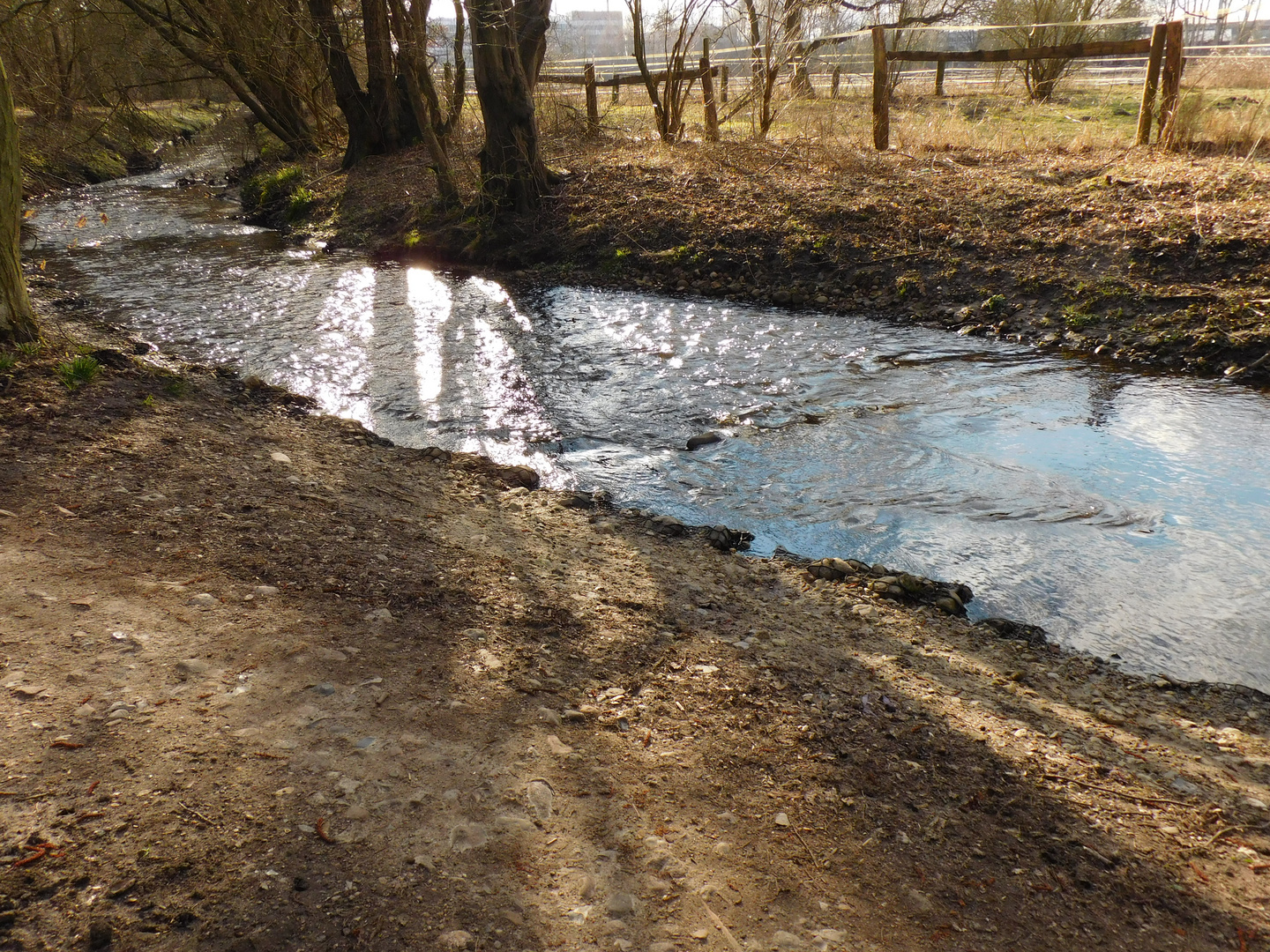 Tarpenbek im Frühjahr