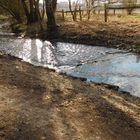 Tarpenbek im Frühjahr