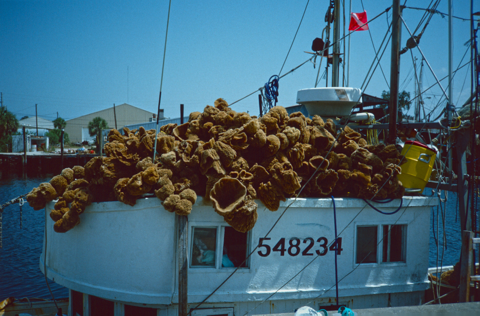 Tarpon Springs, FL - 1989