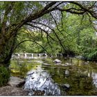 Tarr Steps im Exmoor