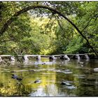 Tarr Steps im Exmoor