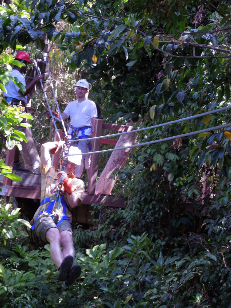 Tarzan auf Barbados