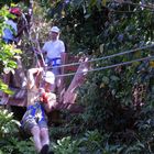 Tarzan auf Barbados